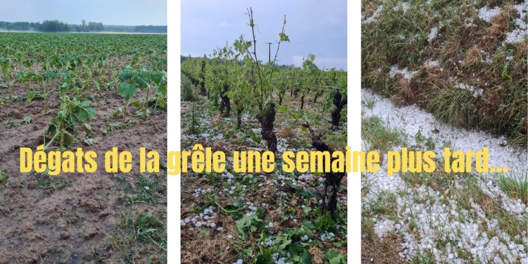 découvrez les coûts liés aux dégâts causés par la grêle en île-de-france. informez-vous sur les impacts financiers et les solutions pour se protéger contre ces intempéries.