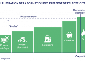 découvrez les enjeux du déclin du marché électrique en assurance, les causes et les impacts sur les entreprises, ainsi que les perspectives d'avenir dans ce secteur en pleine mutation.