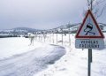 découvrez notre assurance spéciale neige et verglas pour protéger votre véhicule et votre sécurité sur les routes hivernales. bénéficiez d'une couverture adaptée aux conditions météorologiques rigoureuses.