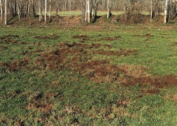 découvrez comment la hausse des primes d'assurances auto et moto contraste avec la baisse des indemnisations, et ce que cela signifie pour les assurés.