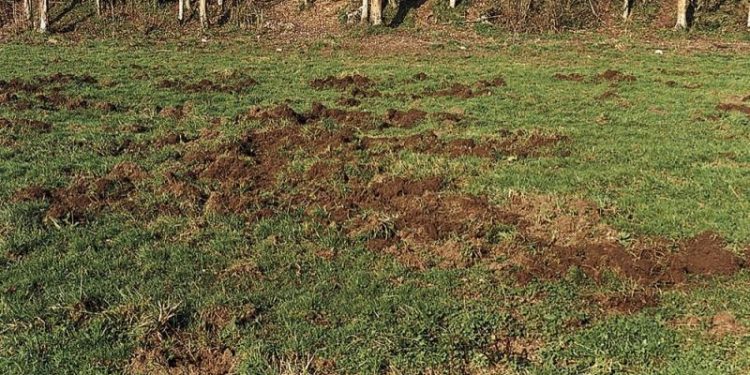 découvrez comment la hausse des primes d'assurances auto et moto contraste avec la baisse des indemnisations, et ce que cela signifie pour les assurés.