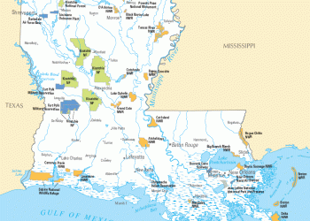 découvrez comment obtenir une réduction d'assurance en louisiane grâce à nos conseils pratiques et astuces pour économiser sur vos primes tout en bénéficiant d'une couverture adaptée.