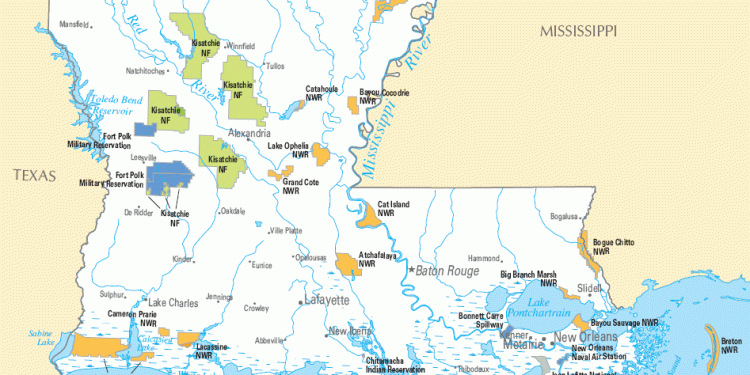 découvrez comment obtenir une réduction d'assurance en louisiane grâce à nos conseils pratiques et astuces pour économiser sur vos primes tout en bénéficiant d'une couverture adaptée.