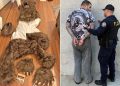 Trois individus condamnés pour une escroquerie rocambolesque mêlant déguisement d’ours, fausses griffures et voitures de luxe Rolls-Royce et Mercedes