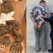 Trois individus condamnés pour une escroquerie rocambolesque mêlant déguisement d’ours, fausses griffures et voitures de luxe Rolls-Royce et Mercedes
