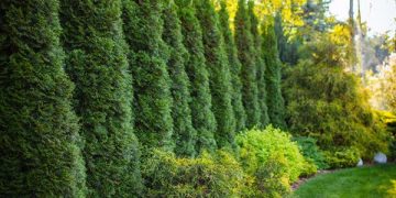 découvrez les règles de légalité pour la résiliation de votre contrat d'assurance habitation. guide pratique pour comprendre vos droits et démarches.